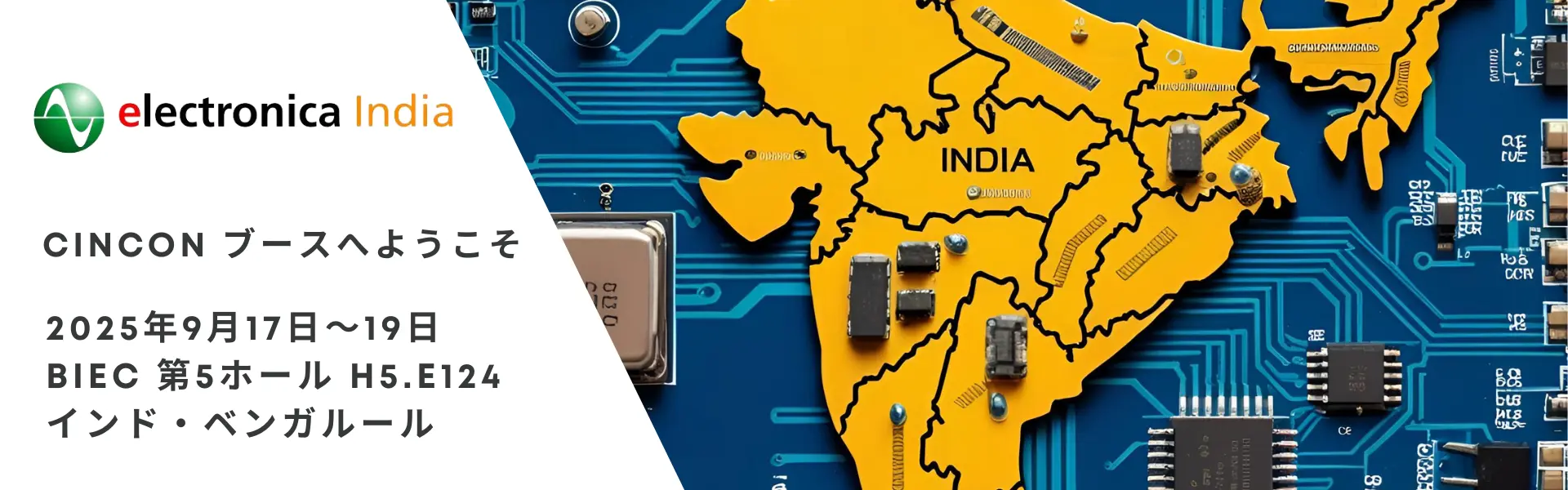 25 electronica india